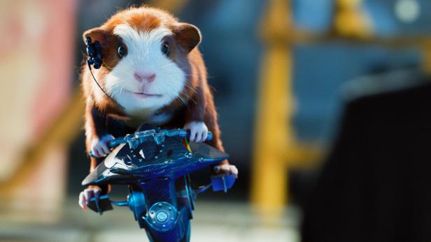 Ein Meerschweinchen mit Headset steuert ein futuristisches Fahrzeug.