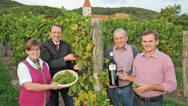 Vier Personen stehen in einem Weinberg, zwei davon halten eine Flasche Wein und Trauben.