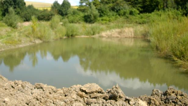Ein kleiner Teich mit Uferbewuchs und Erdwall im Vordergrund.
