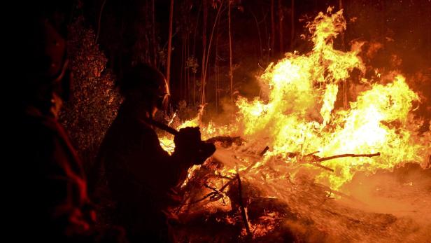 Ein Feuerwehrmann bekämpft einen Waldbrand mit einem Wasserstrahl.