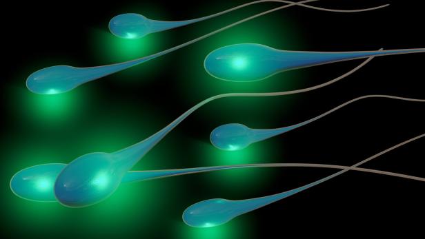 Forscher entwickeln Sperma-Check per Smartphone