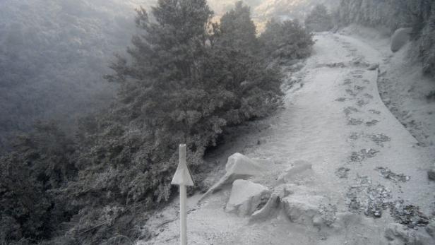 Ein verschneiter Pfad führt durch eine neblige Berglandschaft.