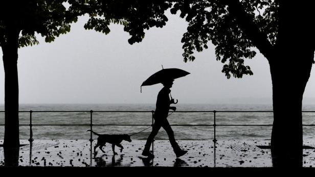 Eine Person geht mit einem Hund am Ufer unter einem Regenschirm spazieren.
