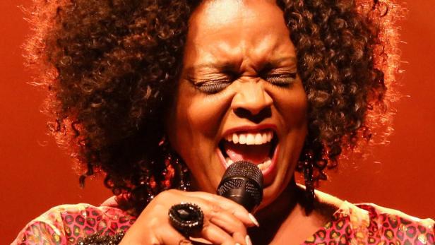 Dianne Reeves: Im Konzerthaus mehr routiniert als außergewöhnlich