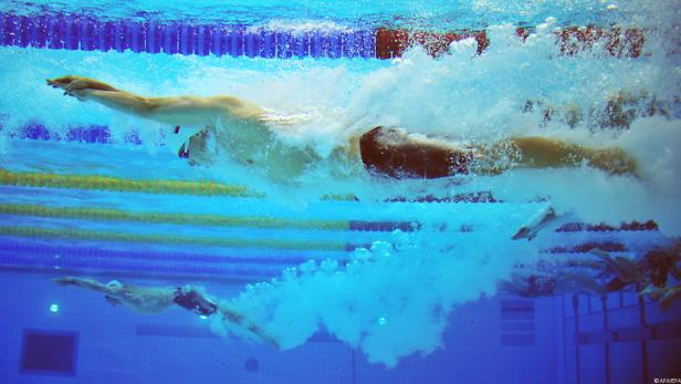 Mehrere Schwimmer sind während eines Wettkampfs unter Wasser zu sehen.