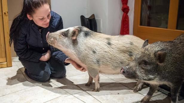 Leah Schaumberger überglücklich mit den Minischweinen Sophie und Lilly