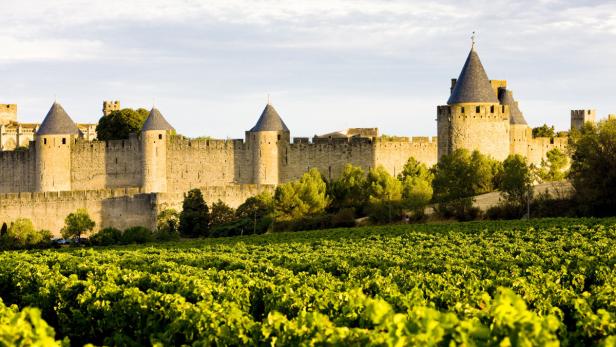 Die mittelalterliche Stadt Carcassonne mit einem Weinberg im Vordergrund.
