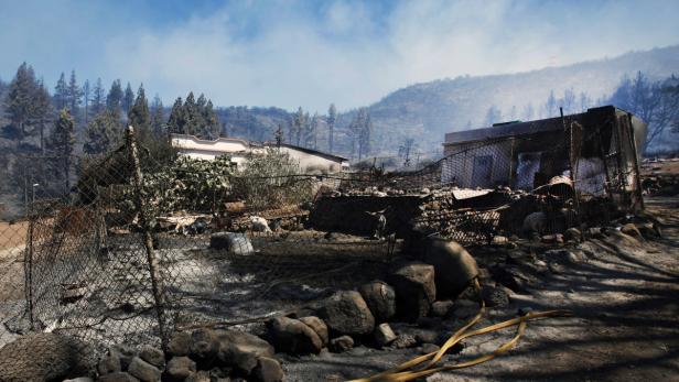 Nach einem Waldbrand stehen verkohlte Häuser und Zäune in einer Landschaft.