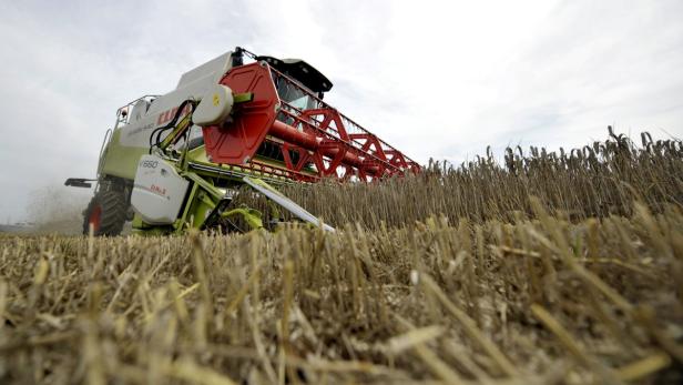 800 Kilogramm schwere Ladung Weizen fiel auf Landwirt
