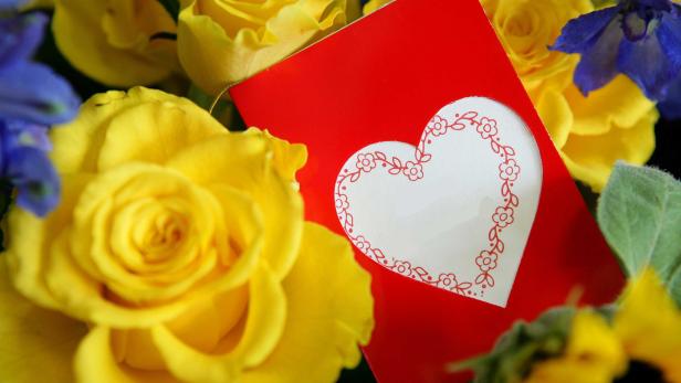 Blumen Datenschützer stellen "Geburtstagsplauscherln" ab