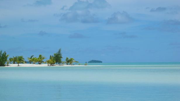 Eine tropische Insel mit Palmen und türkisfarbenem Wasser.