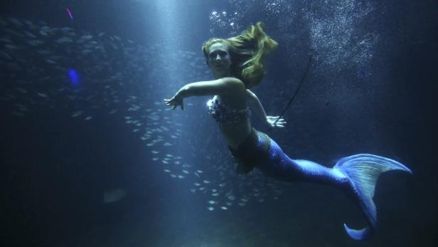 Auch für ein buntes Rahmenprogramm wurde gesorgt: So sind etwa im Aquarium von Tampa Meerjungfrauen zu sehen, um die Parteitags-Besucher zu erfreuen.