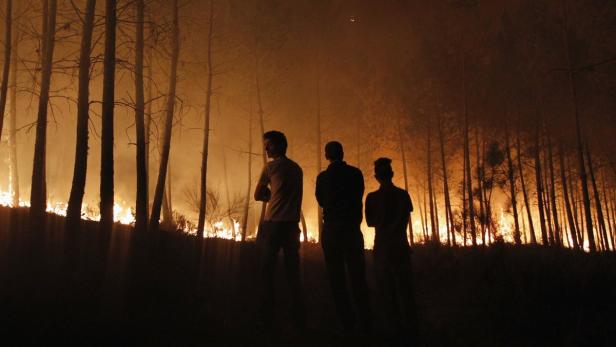 Drei Personen beobachten einen Waldbrand bei Nacht.