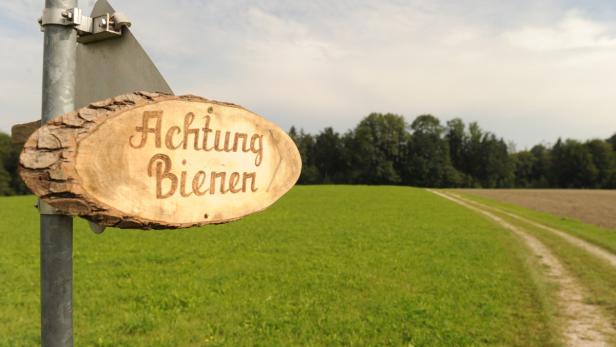 Warnung: Nach der ersten Bienenattacke wurden Schilder aufgestellt.