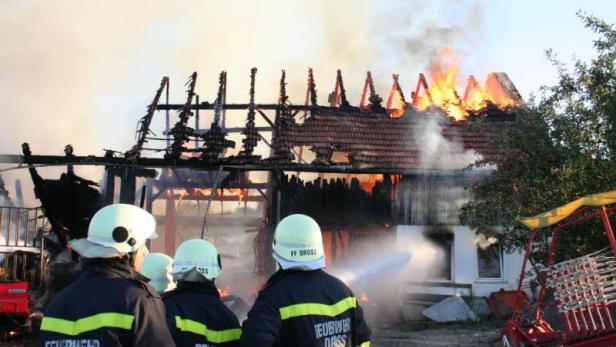 Feuer vernichtete Schafmilchbetrieb