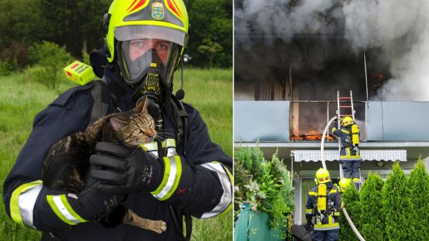 Ein Feuerwehrmann rettet eine Katze aus einem brennenden Gebäude.