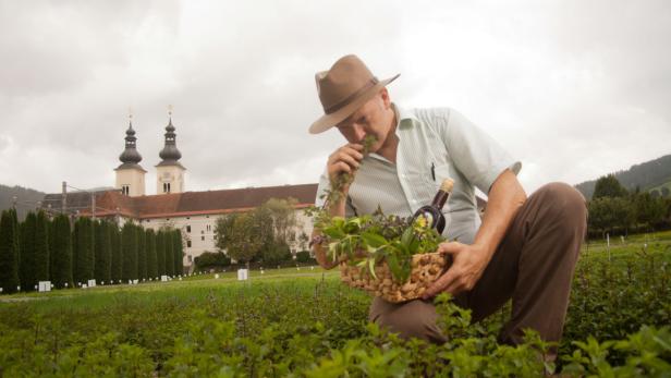 Mein Meister-Werk: Gurktaler – aus dem Weinviertel