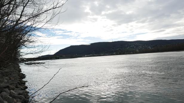 Weniger arme Anrainer: Die Donau oberhalb des Kraftwerks Langenzerdsdorf