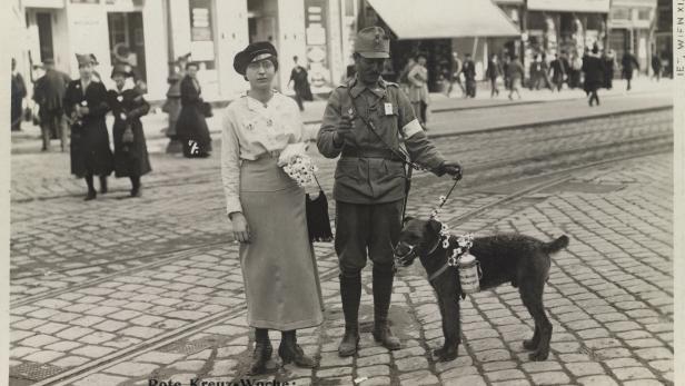 Eine Frau, ein Soldat und ein Sanitätshund während der Rotkreuz-Woche.