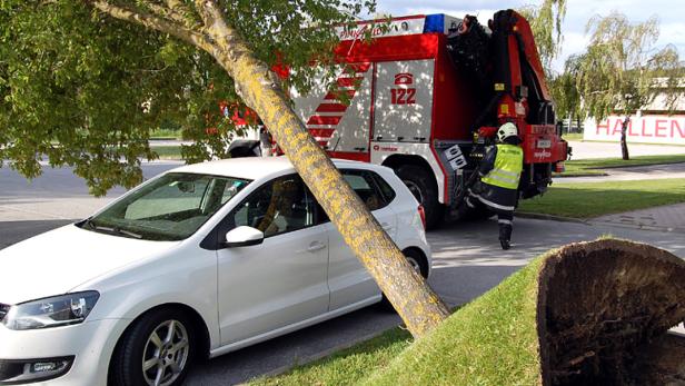 Ein Baum ist auf ein weißes Auto gefallen, im Hintergrund ein Feuerwehrauto.