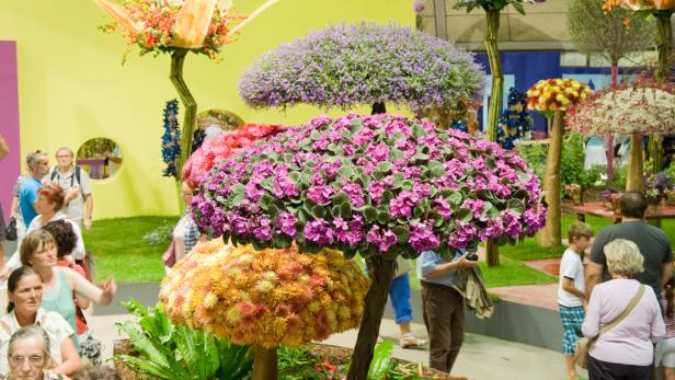 Verschiedene Blumenarrangements in Form von Bäumen werden auf einer Ausstellung gezeigt.
