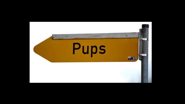 Ein gelbes Schild mit der Aufschrift „Pups“ zeigt nach links.