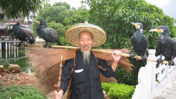 Ein Fischer mit traditionellem Hut und Kormoranen auf einer Stange.