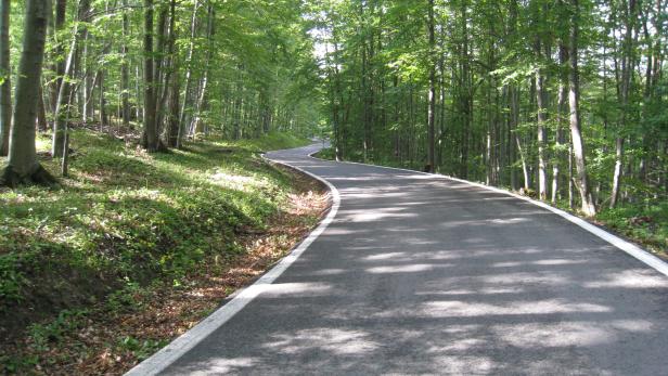 Gipfel-Sturm: Die Serpentinenstraße hinauf zum Sljeme ist ein Muss für jeden Mountainbiker