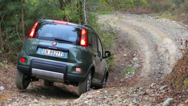 Fiat Panda: Zuwachs für die Bärenfamilie