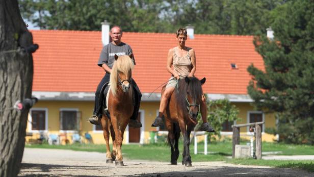 Ein Mann und eine Frau reiten auf zwei Pferden auf einer Landstraße.