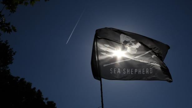 Sea Shepherd: Piraten für den guten Zweck