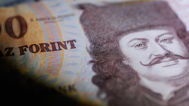 Detailaufnahme einer ungarischen 10.000 Forint Banknote mit dem Porträt von Miklós Zrínyi.