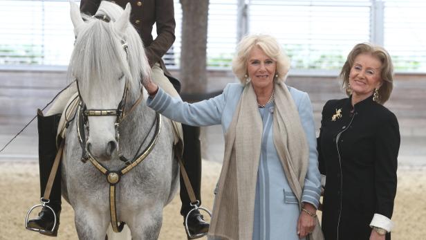 In der Spanischen Hofreitschule durfte Herzogin Camilla im Beisein von Hofreitschul-Generaldirektorun Elisabeth Gürtler Lipizzaner streicheln - und schien viel Freude mit den Pferderln zu haben.