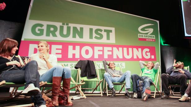 2013, die Grünen im NR-Wahlkampf