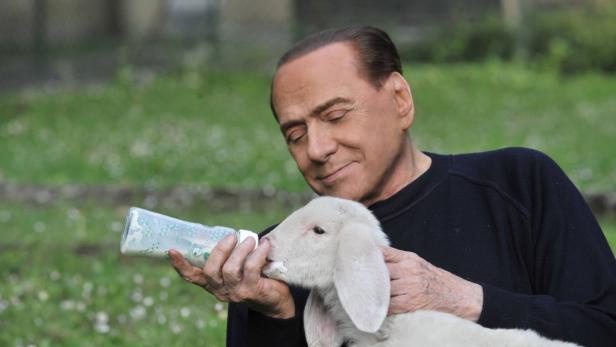 Berlusconis Kampf gegen Lammfleisch sorgt für Eklat