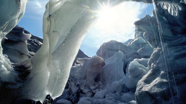 Schmelzende Gletscher geben neue Lebensräume frei.