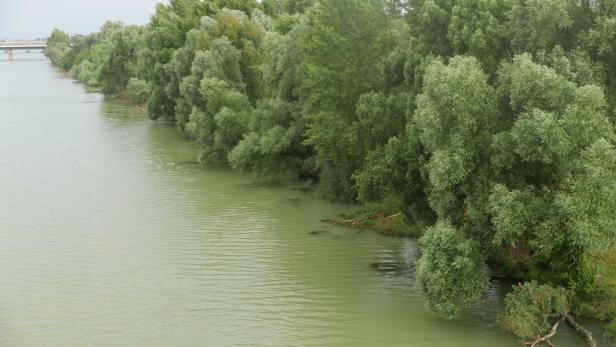 Am Schauplatz: Die Donauinsel bietet zu allen Jahreszeiten Spannung