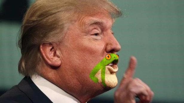 Künstler verpasst Trumps Kinn einen Frosch-Anstrich