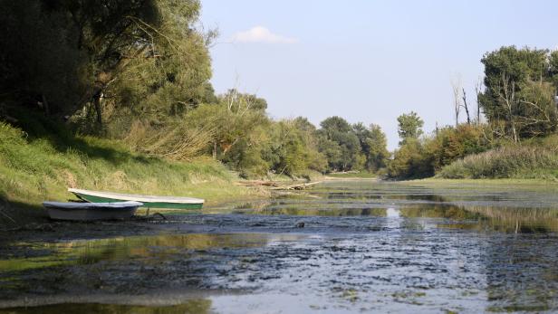Die Donau bei Hainburg.