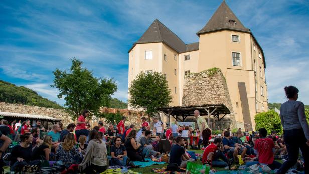 Projekt aus Agenda 21: Public Viewing im Schlosspark Steyregg