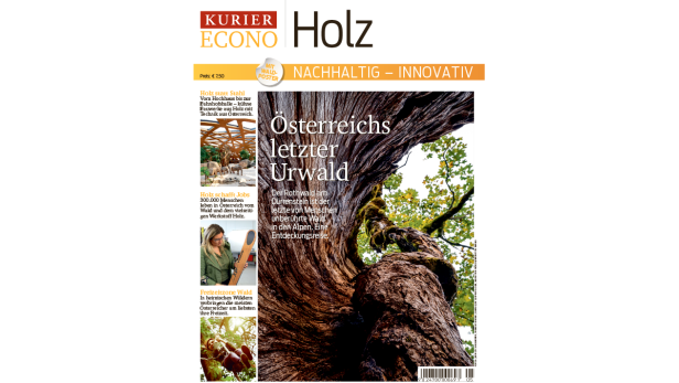 Jetzt im Handel: Das KURIER-Magazin "Holz"