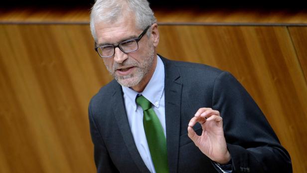 Grüne Bildungssprecher Harald Walser