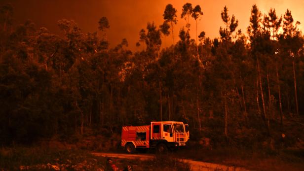 Portugal wird von schweren Waldbränden heimgesucht.