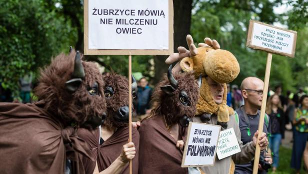 Die Demonstranten in Warschau