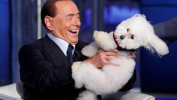 Ex-Premier Berlusconi fühlt sich nach den lokalen Wahlen pudelwohl