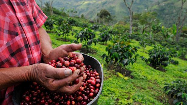 Perfekter Aromaschutz für hochwertigen Kaffee