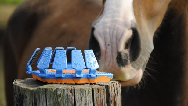 „Sportschuhe“ für Pferde sollen den Tieren Hufeisen ersparen. Auch mehrere Polo-Nationalteams haben schon nachgefragt.