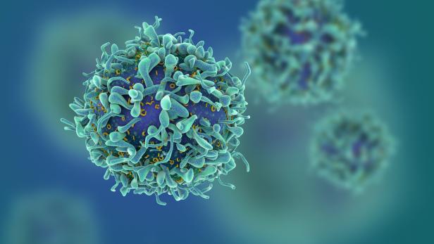Virus-Zelle stark vergrößert