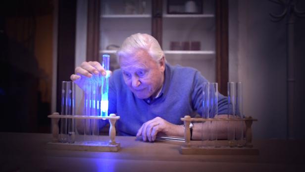 Sir David Attenborough im Labor bringt Terra Mater Emmy-Chancen