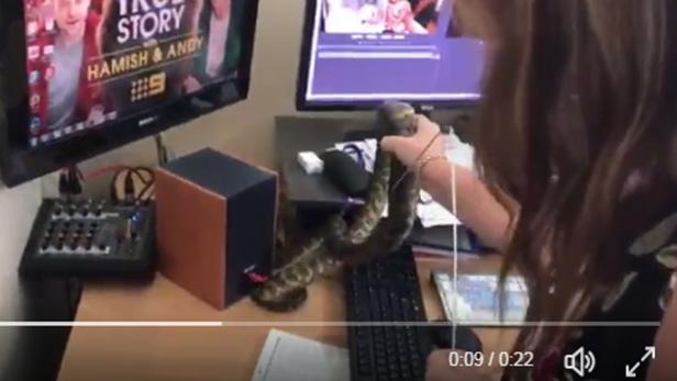 Eine Frau hält eine Schlange über einer Computertastatur.